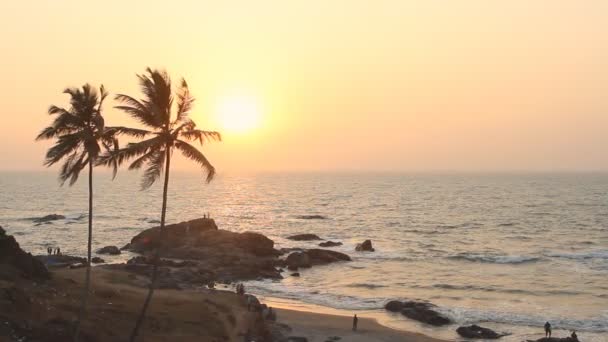 India Goa Vagator spiaggia febbraio 20, 2013. Silhouette di palme al tramonto — Video Stock