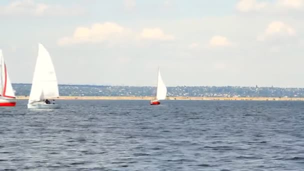Парусные лодки на море и голубое небо — стоковое видео
