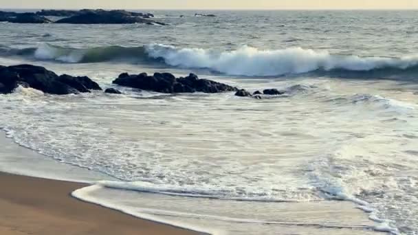 美丽的海景。自然的组成. — 图库视频影像