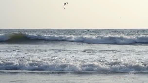 Kiteboarder desfrutar de surf no mar — Vídeo de Stock