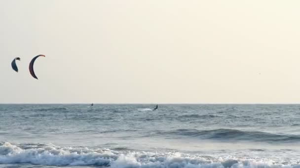 Kiteboarder genießen das Surfen im Meer — Stockvideo