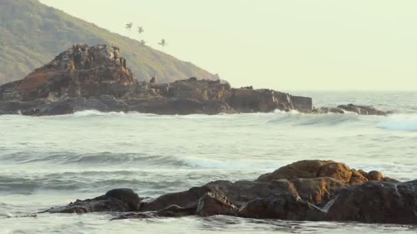 Beau paysage marin. Composition de la nature. — Video