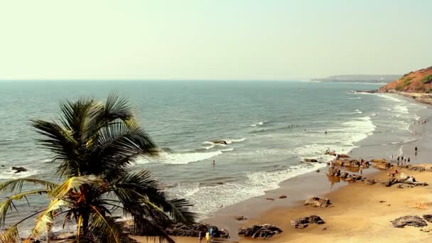 India Goa Vagator beach February 20, 2013. Seaside panorama view — Stock Video
