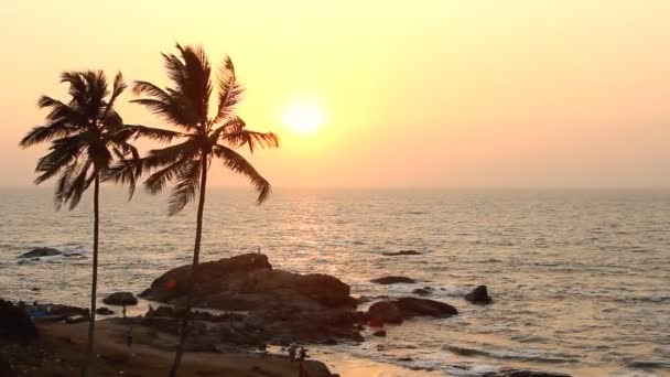 India Goa Vagator beach 20 de febrero de 2013. Silueta de palmeras al atardecer — Vídeos de Stock