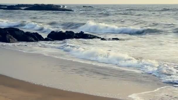 Прекрасний морський пейзаж. Склад природи . — стокове відео