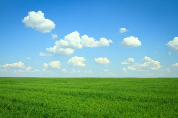 Campo com grama verde e nuvens no céu azul — Fotografia de Stock