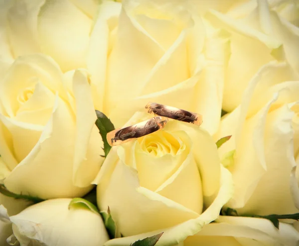 베이지색 장미에 결혼 반지가 클로즈업 — 스톡 사진