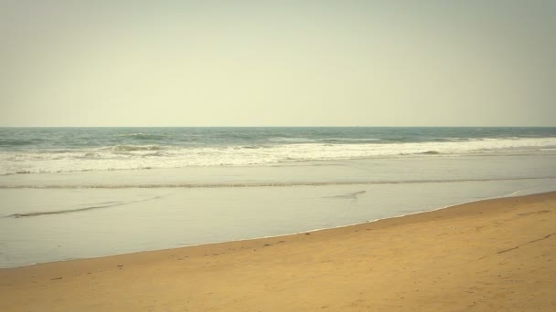 Vagues touchant la plage de sable fin — Video