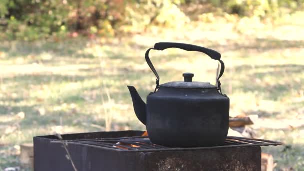 Schwarze alte geräucherte Teekanne am Lagerfeuer — Stockvideo