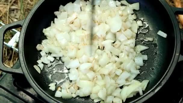 Arrosto su una stufa a gas portatile — Video Stock