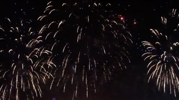 Fuochi d'artificio colorati durante la notte di vacanza — Video Stock