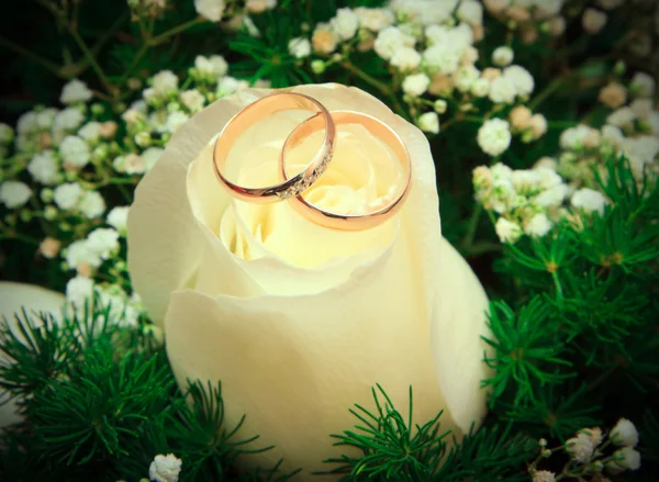 Golden wedding rings — Stock Photo, Image