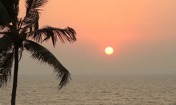 Palmbomen silhouet bij zonsondergang — Stockfoto