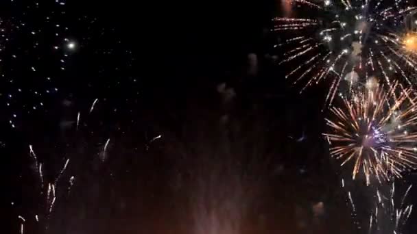 Kleurrijke vuurwerk 's nachts vakantie — Stockvideo