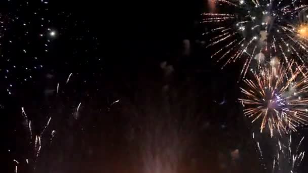 Feux d'artifice colorés pendant la nuit de vacances — Video