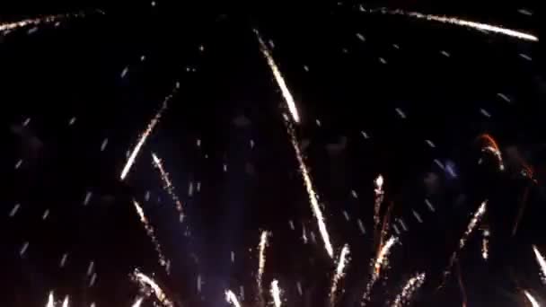 Kleurrijke vuurwerk 's nachts vakantie — Stockvideo