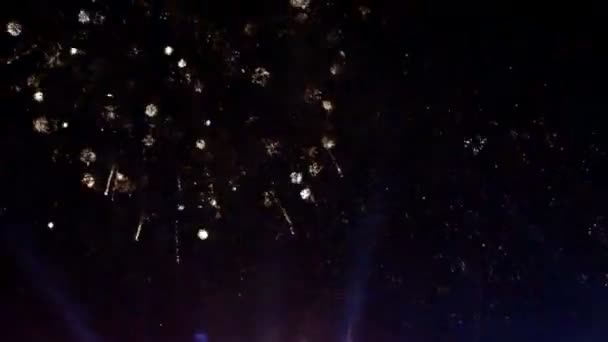 Fogos de artifício coloridos na noite de férias — Vídeo de Stock
