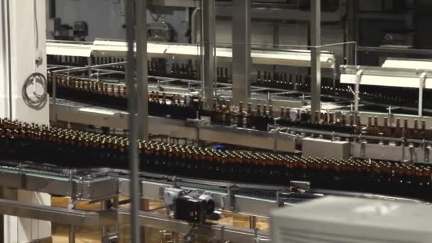 Intérieur de l'usine de bière avec beaucoup de machines — Video