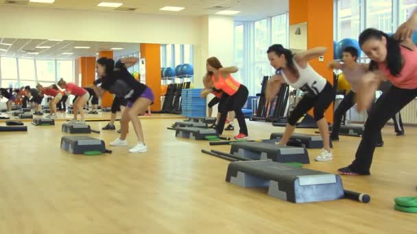 Prachtig vrouwtje op het step board tijdens de training — Stockvideo