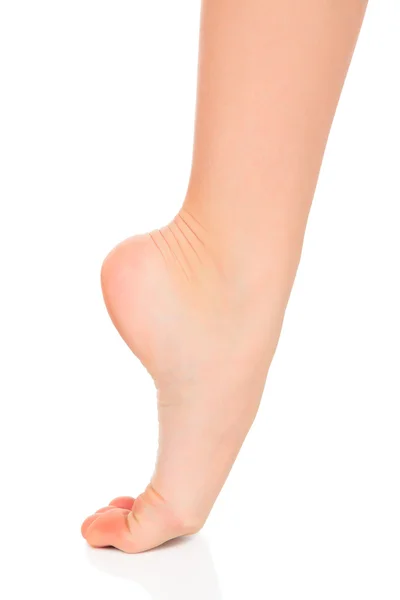Weiblicher Fuß — Stockfoto