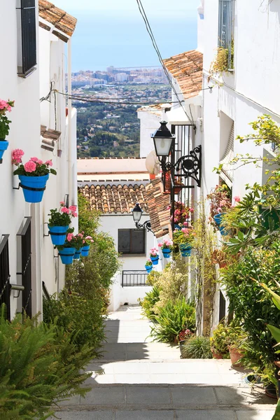 Hermosa calle con flores —  Fotos de Stock