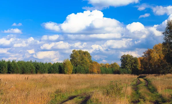 Осінній краєвид — стокове фото