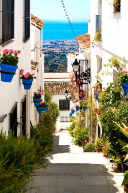 şehirde mijas, İspanya çiçekli güzel sokak