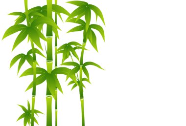 Yeşil Bambu