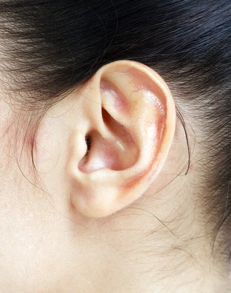 Kvindeligt øre - Stock-foto