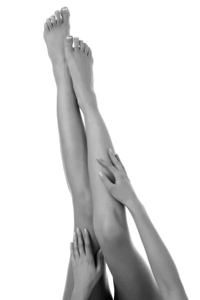 美しい女性の足と手のクローズアップショット 女性は フランスのマニキュア手で彼女の滑らかな肌に触れます 白地に隔離された — ストック写真
