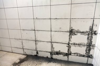 Yeni bir tuvalet, duvarlarda seramik fayanslar...