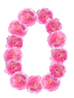 alfabedeki harf o pembe Gül yapmış. izole.