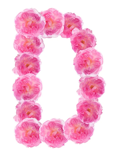 D písmeno abecedy vyrobené z růžových růží. samostatný. — Stock fotografie