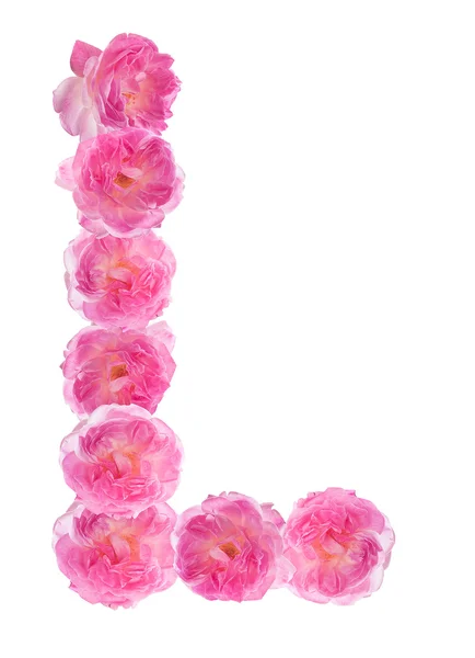 Letter L of the alphabet made of pink roses. Isolated. — Stock Photo, Image