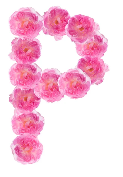 Letter P of the alphabet made of pink roses. Isolated. — Stock Photo, Image