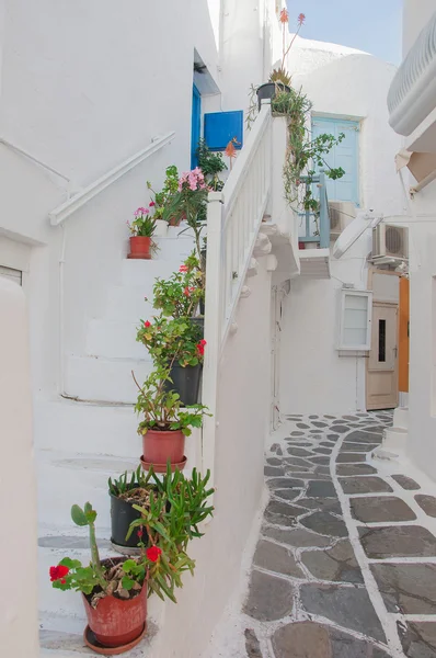 Enge Straße der griechischen Insel mit Treppen und Blumen. — Stockfoto