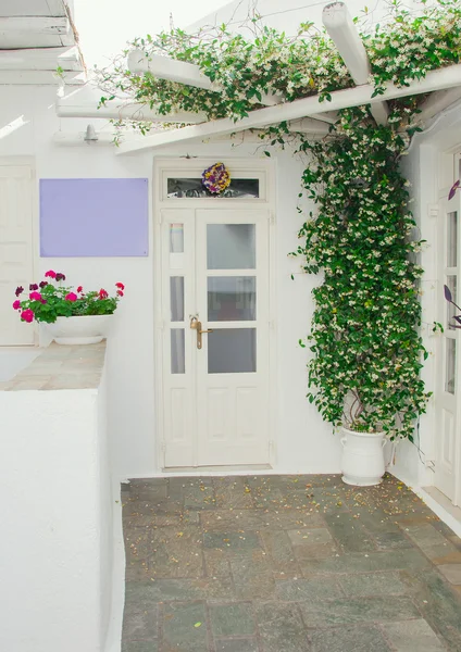 The front door and window with flowers. — Stock Photo, Image