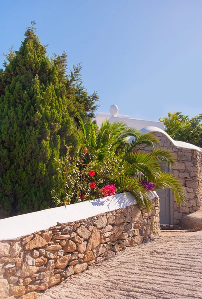 Stone wall with a gray door in a garden with palm trees and flowers. — Stock Photo, Image