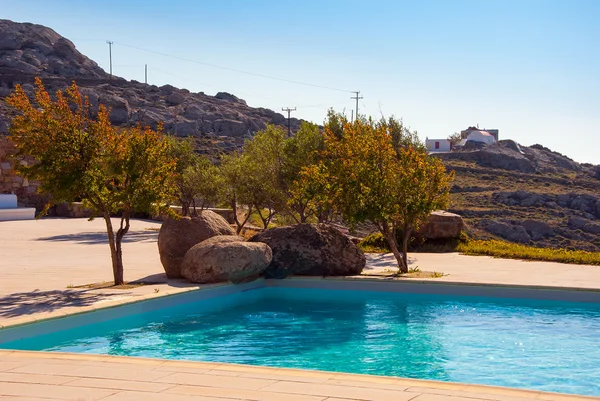 Piscine entourée de jeunes arbres en été — Photo