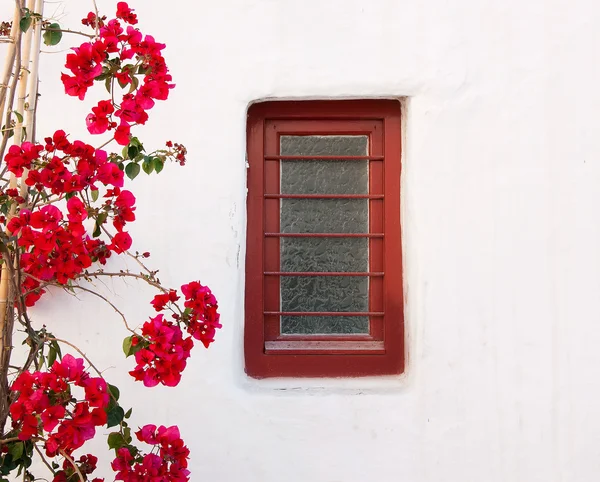 Червона коробка на білій будівлі з красивими квітами бугенвілля — стокове фото