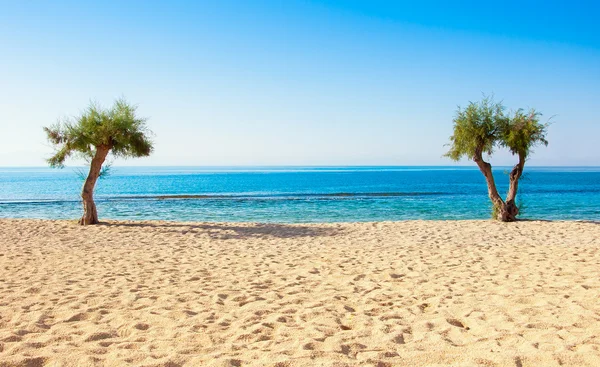 Vacker strand och tropiskt hav — Stockfoto