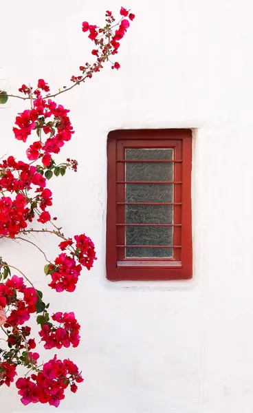 一栋白色建筑用漂亮的叶子花的红盒子 图库图片