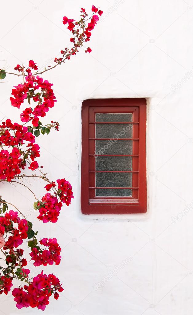 Red box on a white building with beautiful bougainvillea flowers