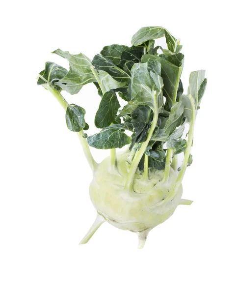 Koolrabi plantaardige. — Stockfoto