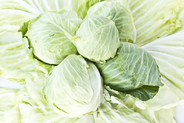 Heads of cabbage. — Stock Photo, Image