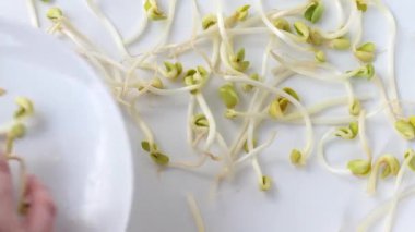 soya. Bölüm 3.