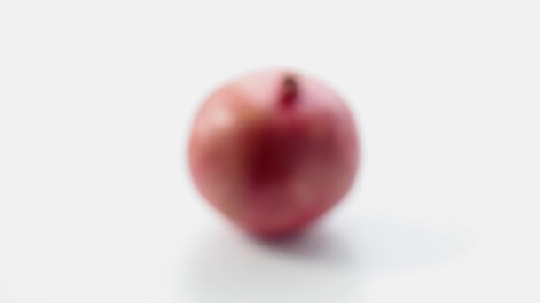 Pomegranate. Part 2. — Stock Video