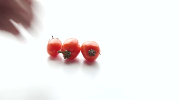 Tomates — Vídeo de stock