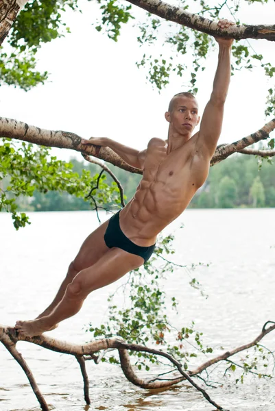 Ağaç üzerinde erkek modeli — Stok fotoğraf