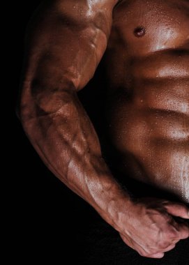 Kaslı erkek gövdesi, altılı paket.